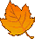 Fall Leaf