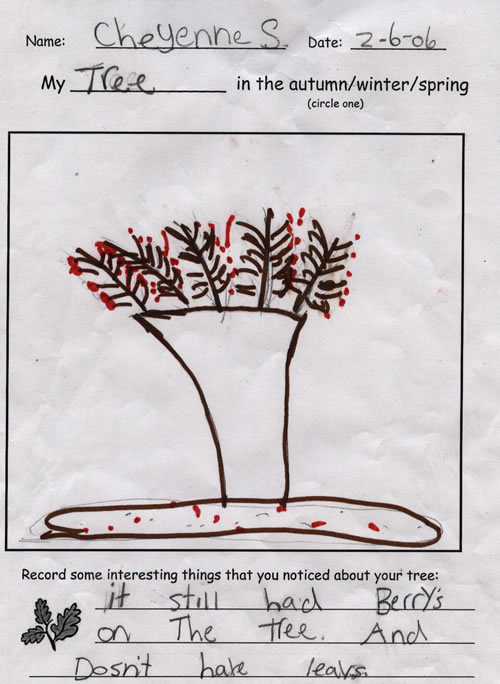 Cheyenne's Artwork for Winter