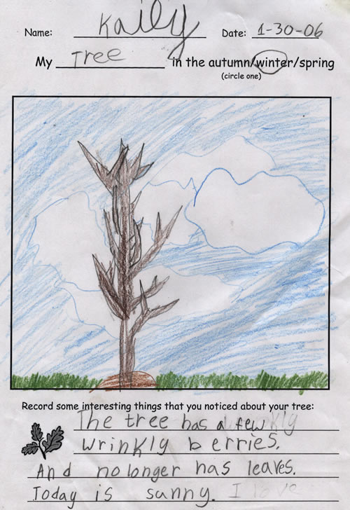 Kaily - Artwork for Winter