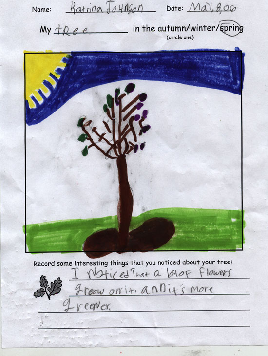 Katrina's Spring Tree