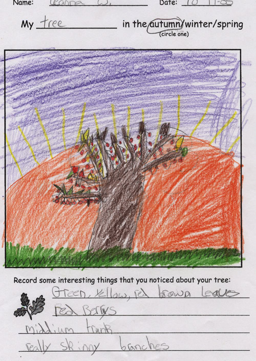 Fall Tree Drawing by Leanna