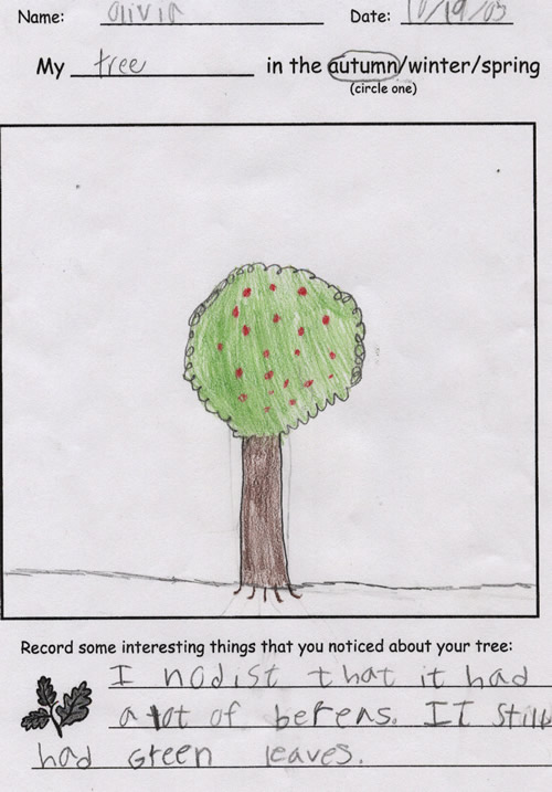 Olivia's Fall Tree Drawing
