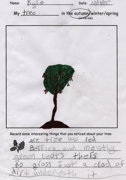 Kyle's fall tree drawing