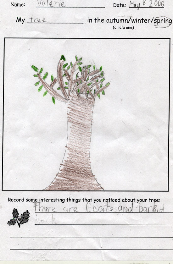 Valerie's Spring Tree