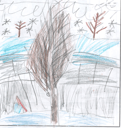 Timothy's Winter Tree