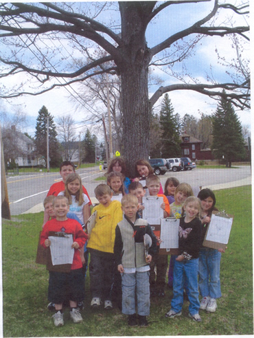 Our class in front of our spring tree with our observation sheets