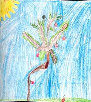 Patrick's tree drawing