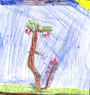 Shayne's tree drawing