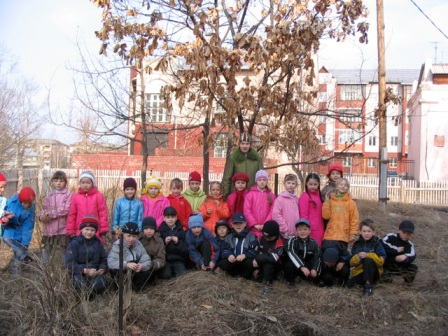 Our Class and our Spring Tree