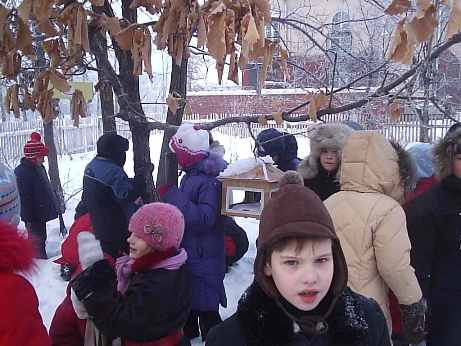 Our Class and our tree