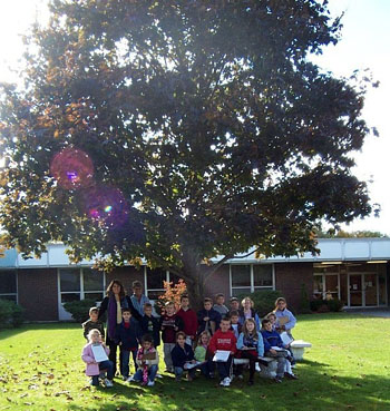 Our tree in the fall.