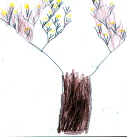 Eric's tree drawing