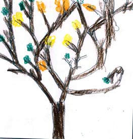 Joshua's tree drawing.