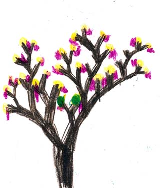 Joseph's tree drawing