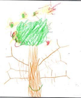Kevin G.'s tree drawing