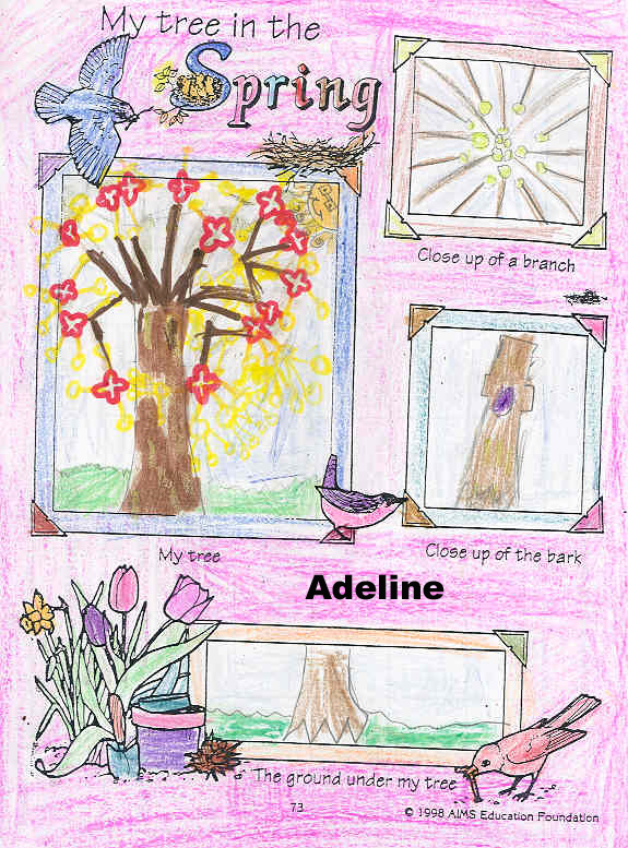 Adeline's spring tree