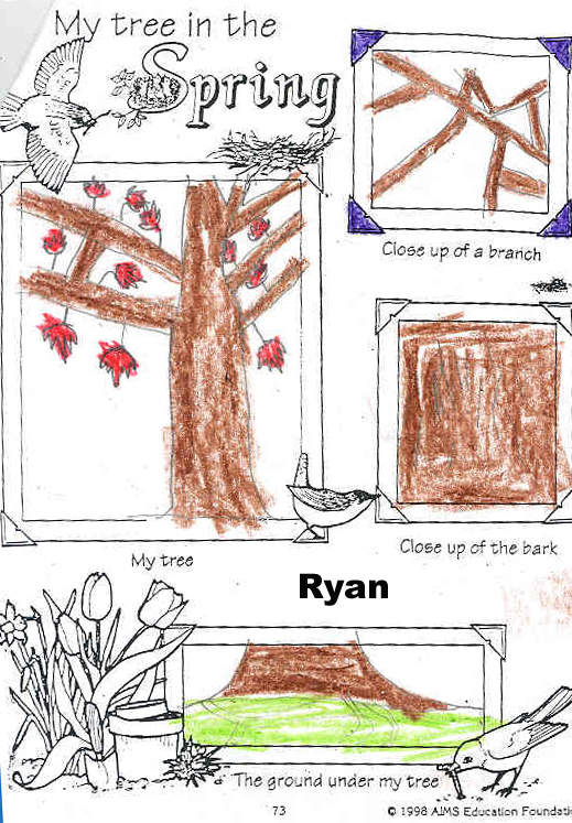Ryan's spring tree