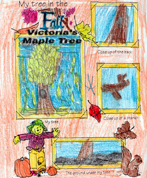 Victoria's Fall Tree