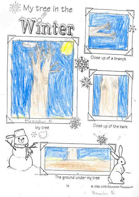 Brandon's Winter Drawing