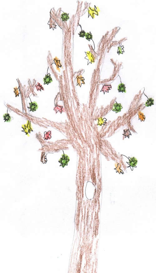 Fall tree drawing