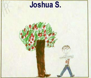 Joshua S's Tree