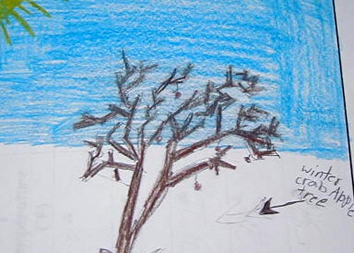 Katelyn's Winter Tree