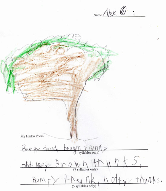 Alex's Tree Drawing 