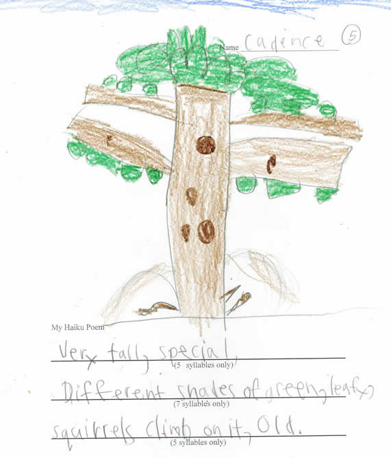 Cadence's Tree Drawing