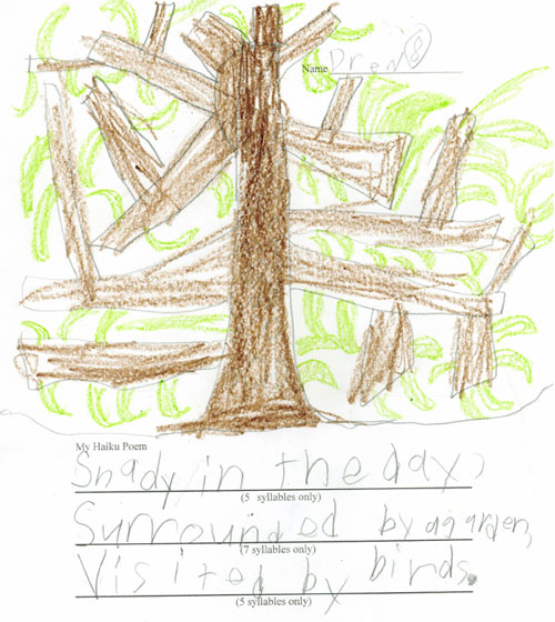 Drew's Tree Drawing