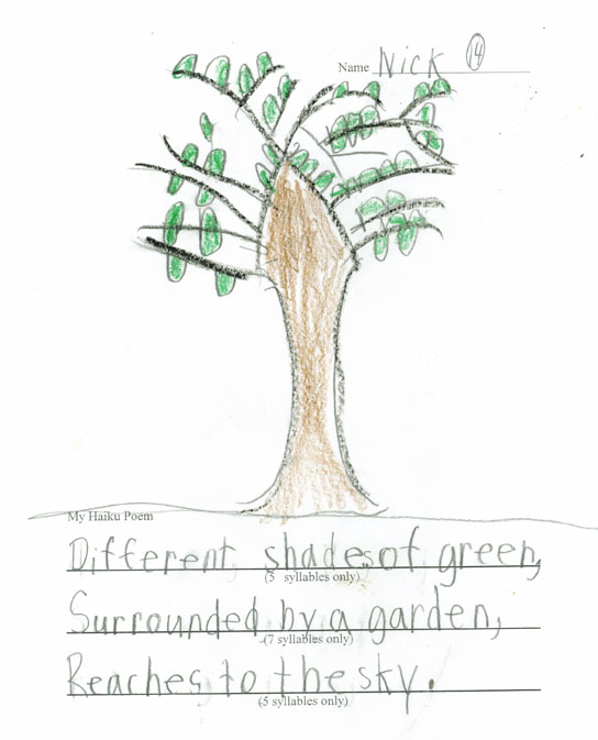 Nick's Tree Drawing