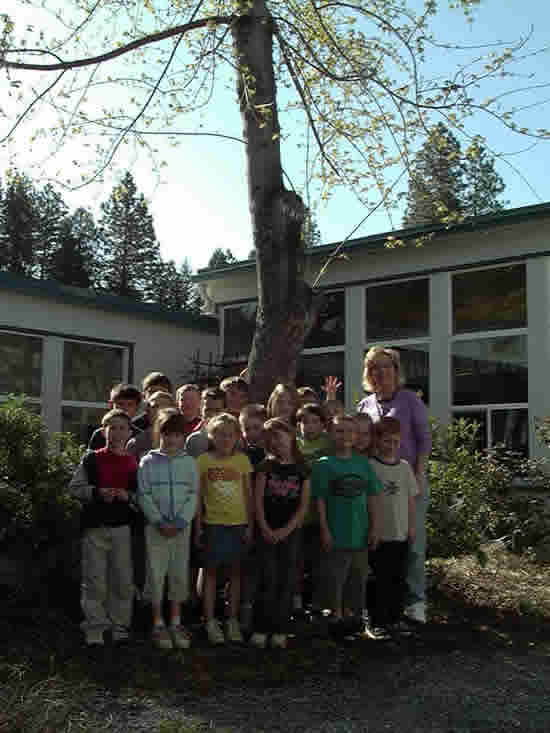 Our class with our spring tree