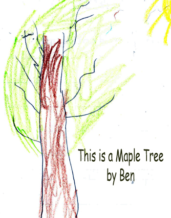 Ben's summer tree