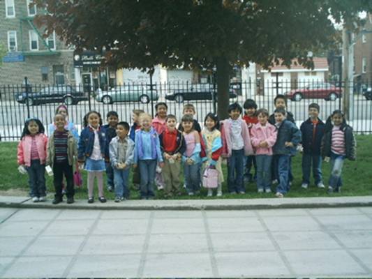 Our class and our Spring tree