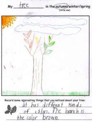 Cristopher's Tree Drawing