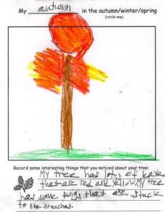Daniel's Tree Drawing