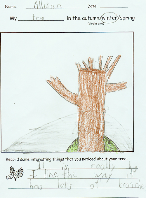 Allison's Winter Drawing