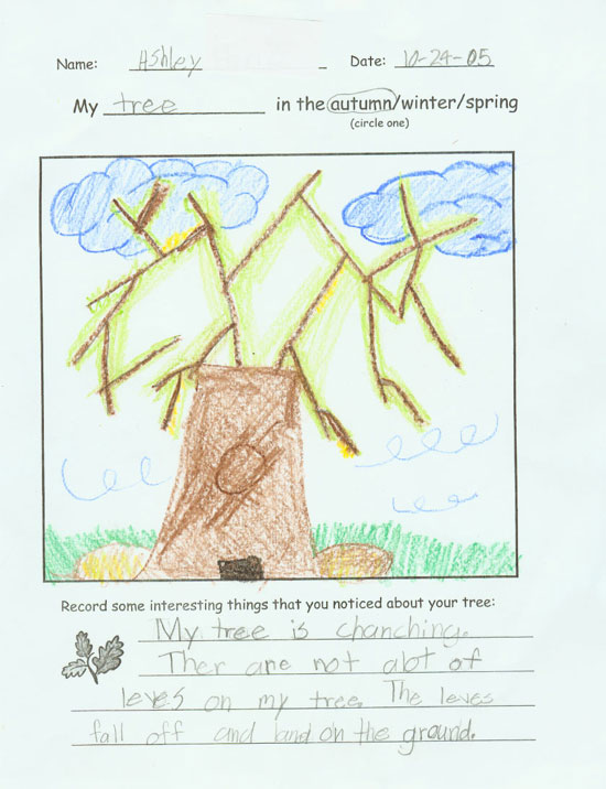 Ashley's Fall Drawing