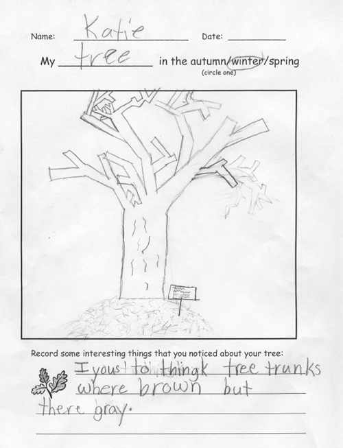 Katie's Winter Drawing