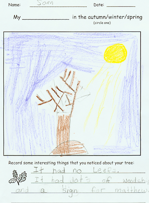 Sam's Winter Drawing