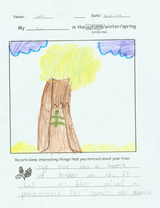 Sarah's Fall Drawing