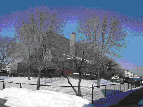 Winter Tree in Astoria, NY