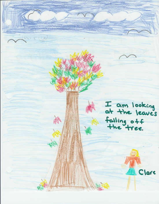 Clare's Drawing