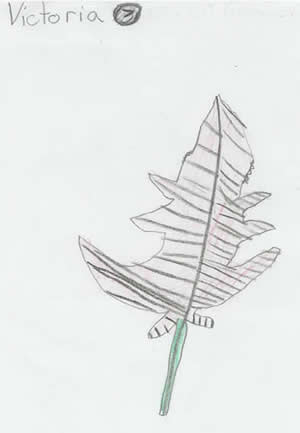 Fall Leaf by Victoria