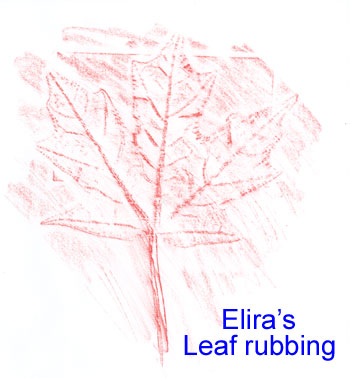Elira's Leaf rubbing