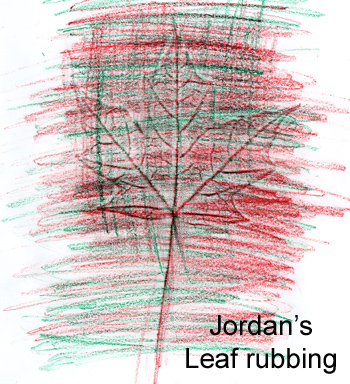 Jordan's Leaf Rubbing