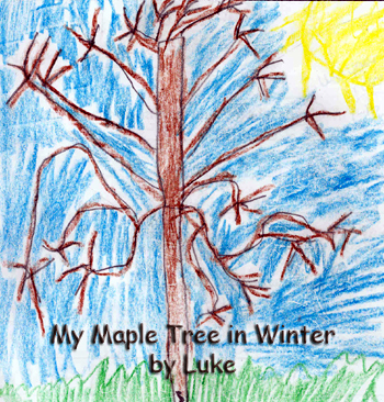 Luke's Winter Tree