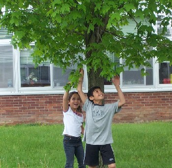 Students and spring tree