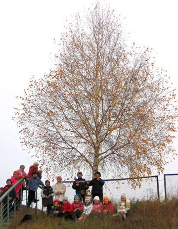 Our tree in late October