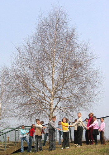 Our class and our spring tree