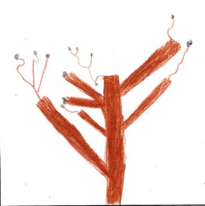 Christos' tree drawing